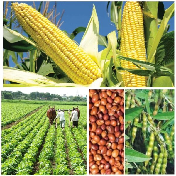 कृषकों को 10,000 रूपए प्रति एकड़ की दर से आदान सहायता राशि की जाएगी प्रदान …….