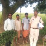 घर की बड़ी में गांजा उगने वाले आरोपी को पुलिस ने गिरफ्तार कर भेजा जेल…….