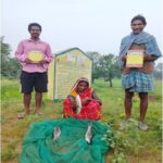 20 साल पुराने तालाब का कायाकल्प, सिंचाई और मछलीपालन से बदल रही है ग्रामीणों की जिंदगी…..