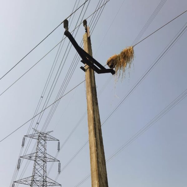 उच्चदाब एवं निम्न दाब लाइनों के निकट ना करें धान मिसाई का कार्य – शिरीष सेलट