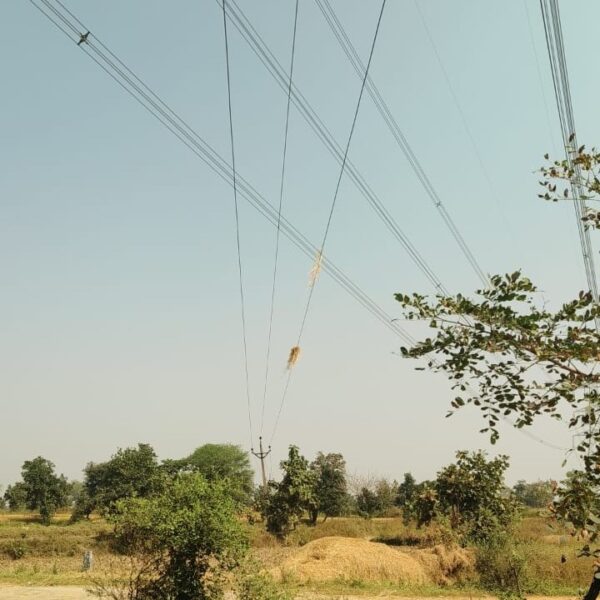 छत्तीसगढ़ में नई गाइडलाइन दरें लागू : ग्रामीण और शहरी क्षेत्रों में दरों का वैज्ञानिक युक्तिकरण, निवेश और पारदर्शिता को मिलेगा बढ़ावा….