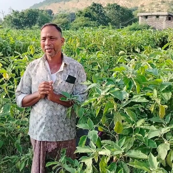 राष्ट्रीय बागवानी मिशन योजना ने दी नई दिशा, कम लागत में लाखों की आय का रास्ता खुला….