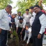 कृषकों को आयल पॉम की खेती के विषय पर दिया गया प्रशिक्षण….