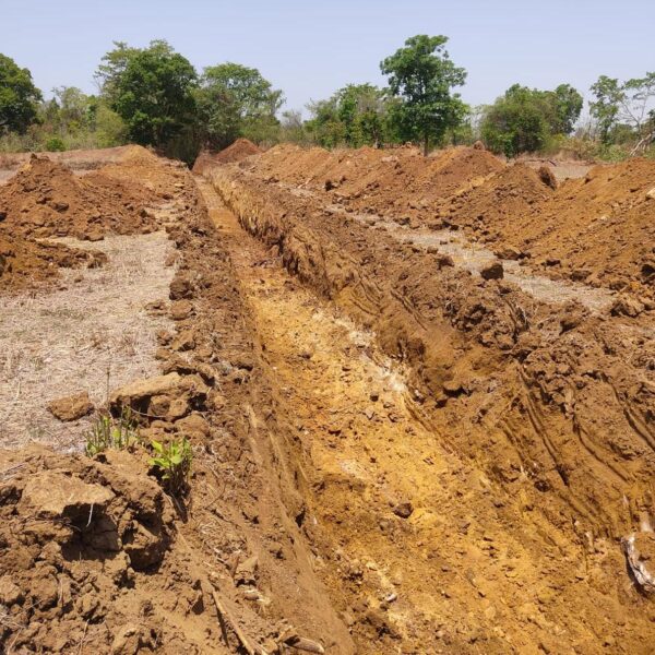 नगरी अंचल में हरित क्रांति की नींवः फुटहामुड़ा नहर से 22 गांवों को मिलेगी स्थायी सिंचाई…