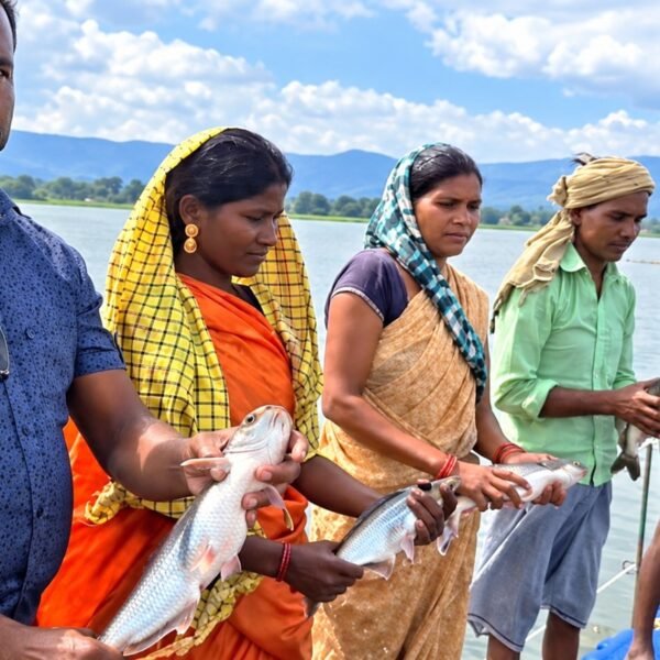 प्रधानमंत्री मत्स्य संपदा योजना से मल्हनिया जलाशय में बदली मछुआरों की जिंदगी…